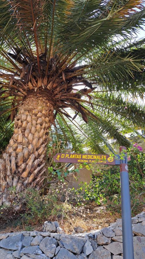 منزل الضيف تيخيدا  في Casa Santana Segura المظهر الخارجي الصورة