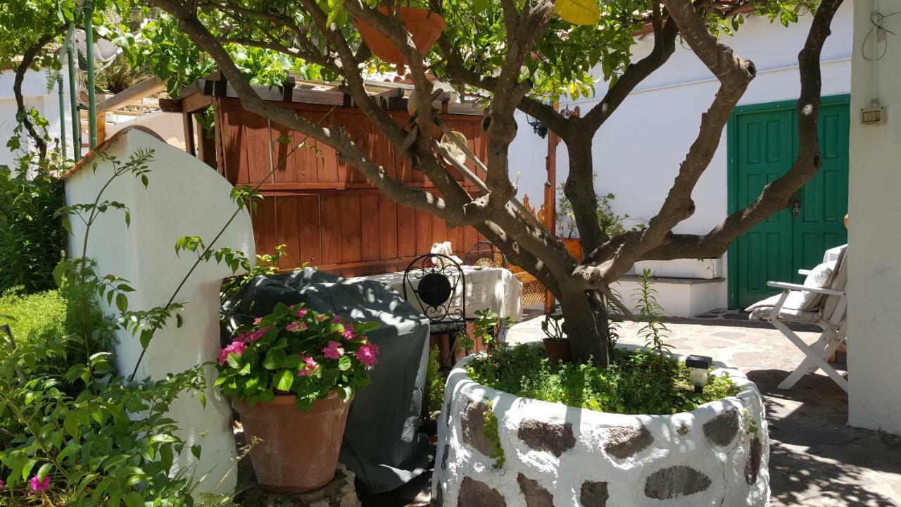 منزل الضيف تيخيدا  في Casa Santana Segura المظهر الخارجي الصورة